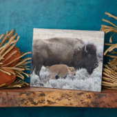 牛と子牛のバイソン，イエローストーン フォトプラーク (側面)