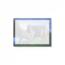 牛と子牛の丘の静かな転が湖