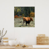 牛と子牛….. ポスター (キッチン)