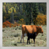 牛と子牛….. ポスター (正面)