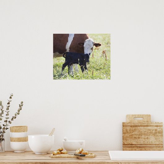 牛と子牛 ポスター (キッチン)