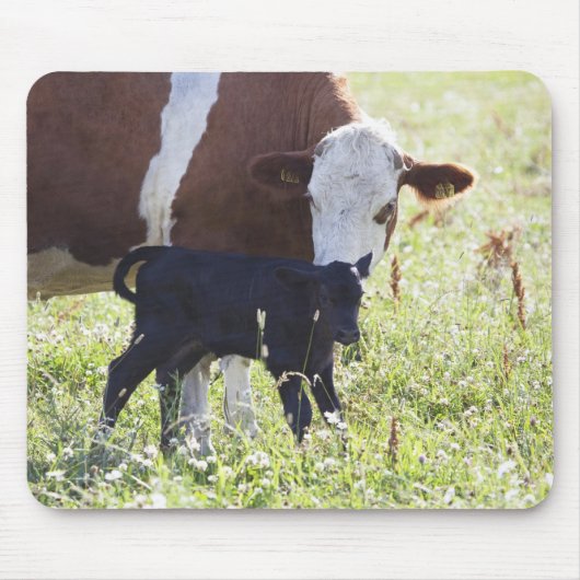 牛と子牛 マウスパッド (正面)