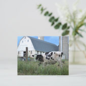 牛と納屋 ポストカード (スタンド正面)