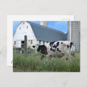 牛と納屋 ポストカード (正面/裏面)