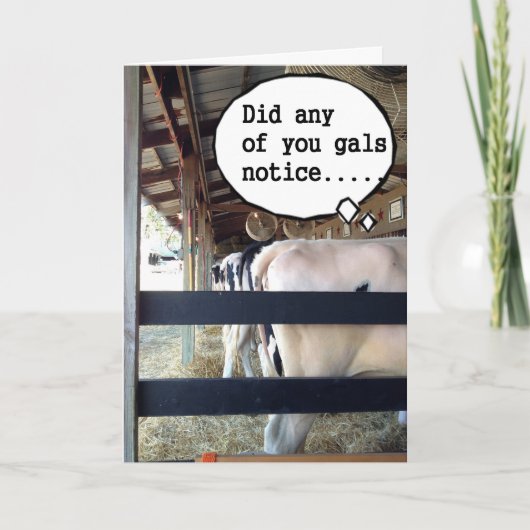 牛と話得してハッピーバースデー カード (正面)