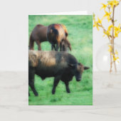 牛と馬2頭 カード (黄色い花)