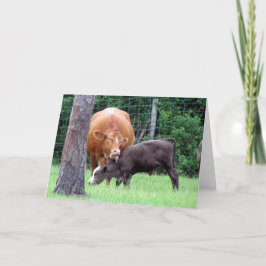 牛なめ母のデイカード サンキューカード