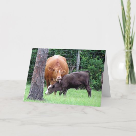 牛なめ母のデイカード サンキューカード (正面)