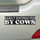 牛に簡単に気を取られる バンパーステッカー (車上)