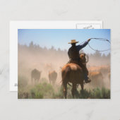 牛に群れを作るカウボーイ ポストカード (正面/裏面)