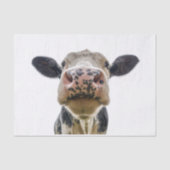 牛のかわいい家畜 薄葉紙 (正面)