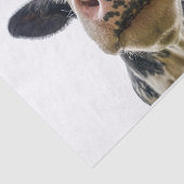 牛のかわいい家畜 薄葉紙 (詳細)