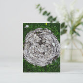 牛のもの ポストカード (スタンド正面)