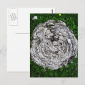 牛のもの ポストカード (正面/裏面)