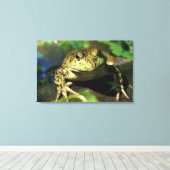 牛のカエル。 キャンバスプリント (インサイチュ (ウッドフロア))