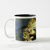 牛のカエル。 ツートーンマグカップ (左)