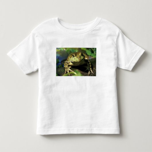 牛のカエル。 トドラーTシャツ (正面)