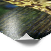 牛のカエル。 フォトプリント            (角)