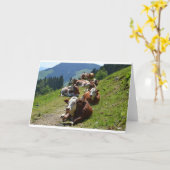 牛のグループの誕生日カード（オーストリアのアルプスで撮影） カード (黄色い花)