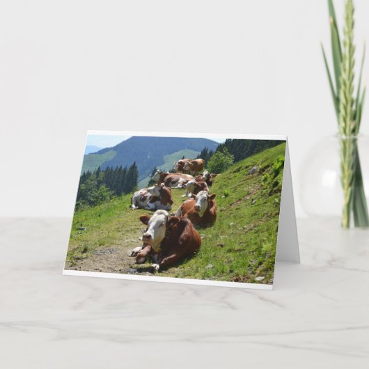 牛のグループの誕生日カード（オーストリアのアルプスで撮影） カード (正面)