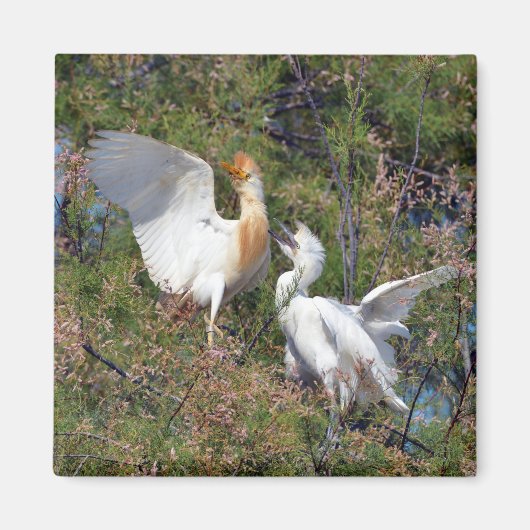 牛のサギと小さなサギは木に マグネット (正面)