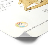 牛のスカル解剖図 ポスター (角)