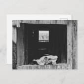 牛のスカル ポストカード (正面/裏面)