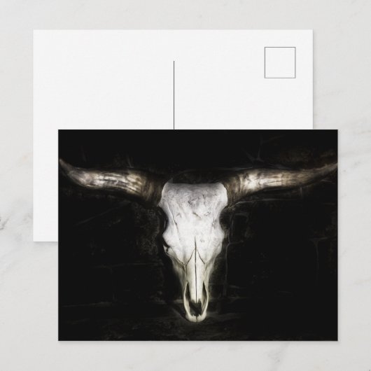 牛のスカル ポストカード (正面/裏面)