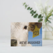 牛のタグを変更しました ポストカード (スタンド正面)