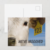 牛のタグを変更しました ポストカード (正面/裏面)