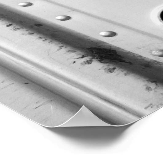 牛のトラック16x20の黒と白の牛 ポスター (角)