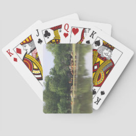 牛のトランプ トランプ