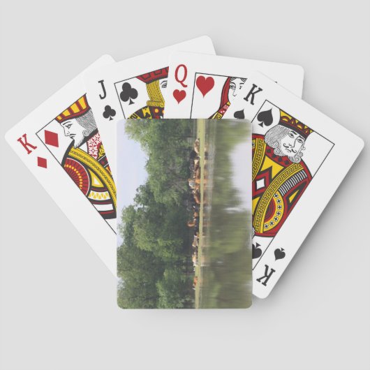 牛のトランプ トランプ (裏面)