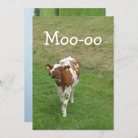 牛のパーティの招待状 招待状 (正面/裏面)