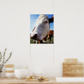 牛のフィールドで、クローズアップ ポスター (キッチン)