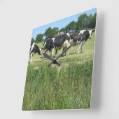 牛のフォトクロック スクエア壁時計 (傾斜)