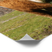 牛のプリント ポスター (角)