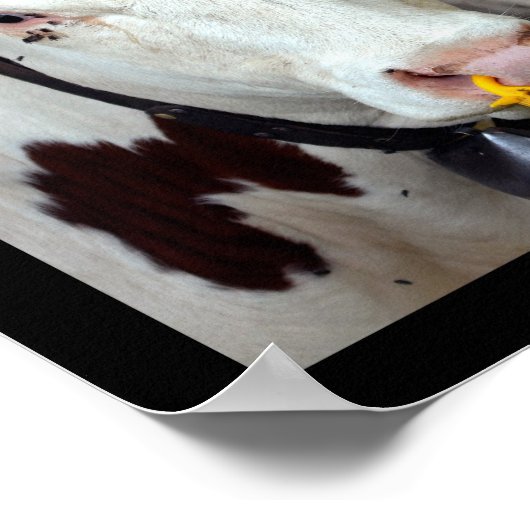 牛のモザイク写真 ポスター (角)