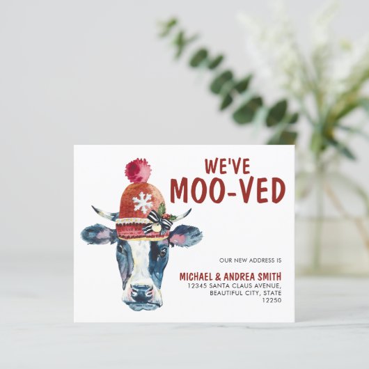 牛のモー休日の動きを伝える (スタンド正面)