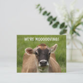 牛のユーモア移動はがき ポストカード (スタンド正面)