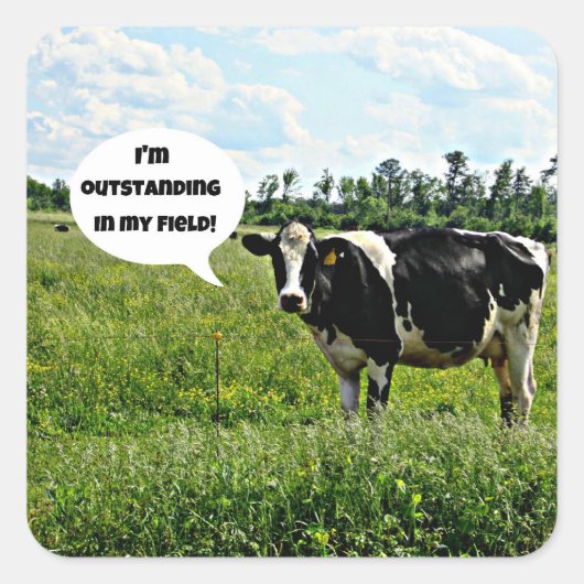 牛のユーモア スクエアシール (正面)