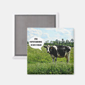 牛のユーモア マグネット (正面/裏面)