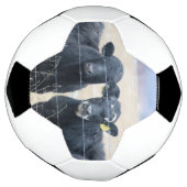 牛の傍観者 サッカーボール (回転)