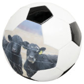 牛の傍観者 サッカーボール (3/4)