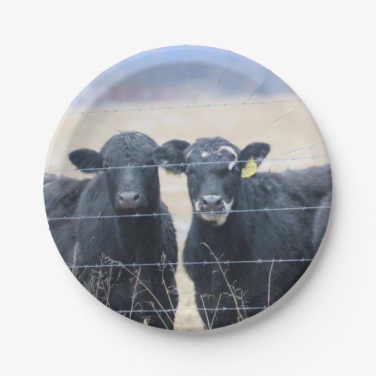 牛の傍観者 ペーパープレート (正面)