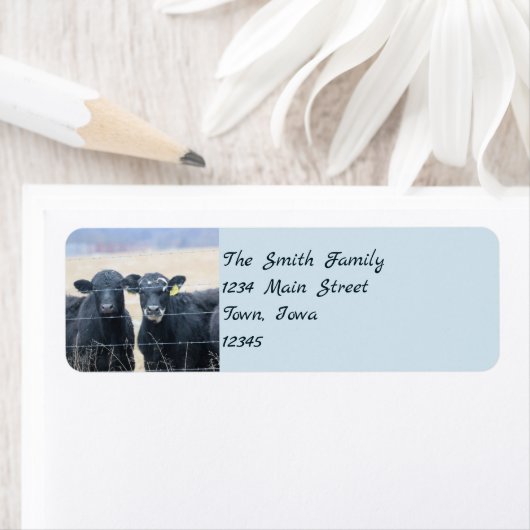 牛の傍観者 ラベル (インサイチュ)