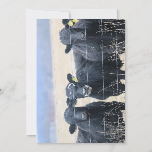 牛の傍観者 招待状 (正面)