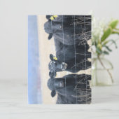 牛の傍観者 招待状 (スタンド正面)