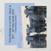 牛の傍観者 招待状 (正面/裏面)