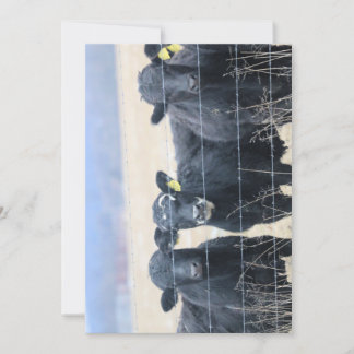 牛の傍観者 招待状